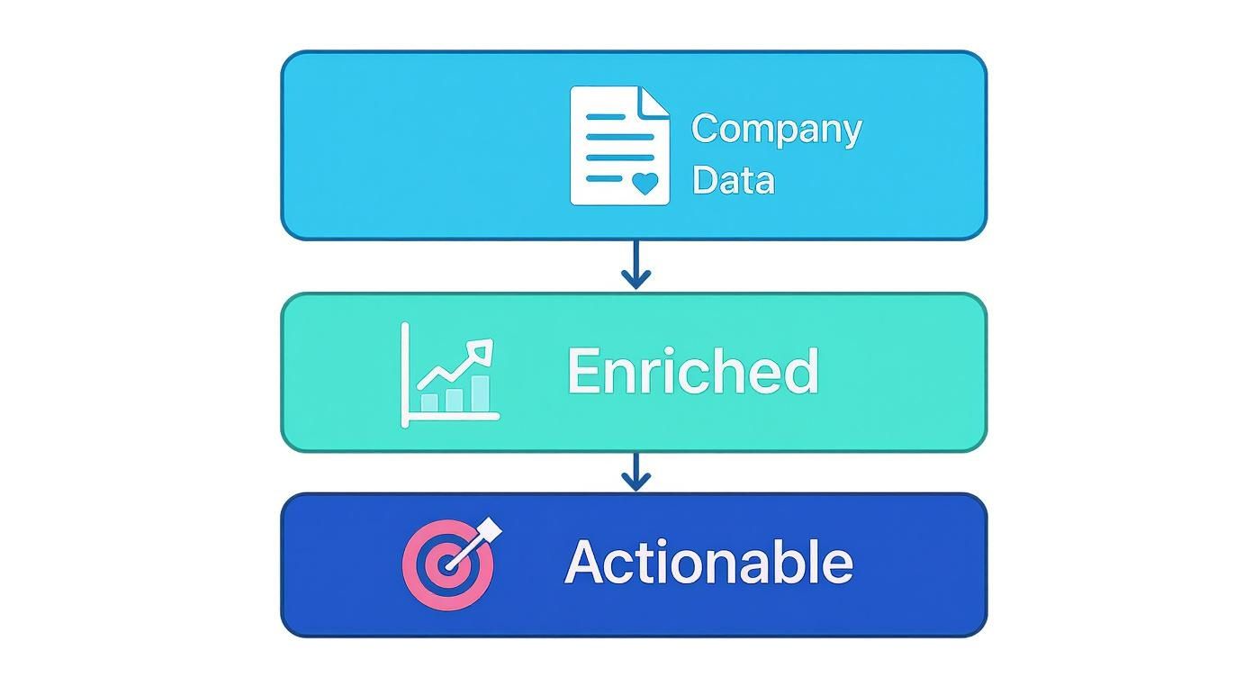 A three-step data flow diagram showing Company Data being enriched to become Actionable insights.