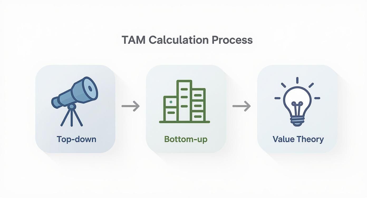 Infographic about how to calculate tam
