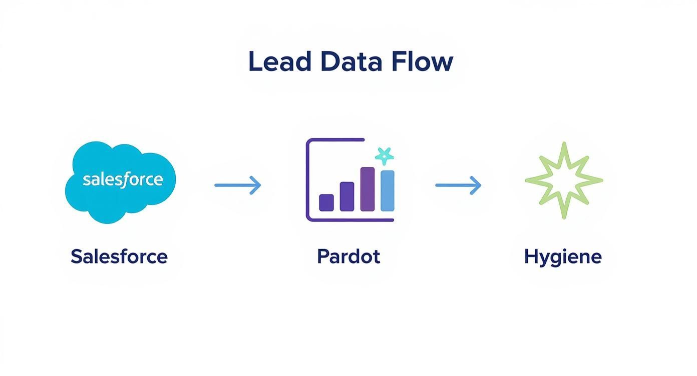 Infographic about salesforce lead scoring