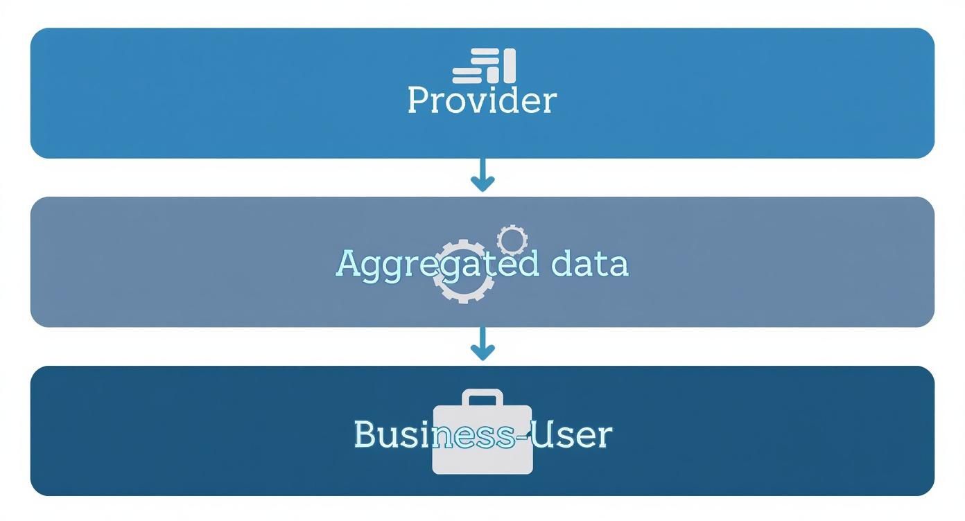 Infographic about third party data